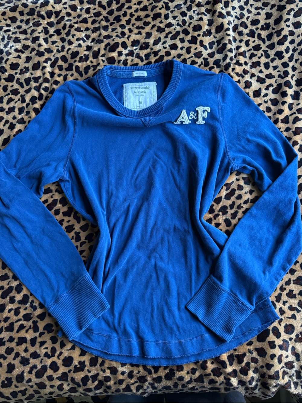 Abercrombie & Fitch Cobalt Blue Crewneck Sweatshirt